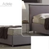 Adele - immagine 2